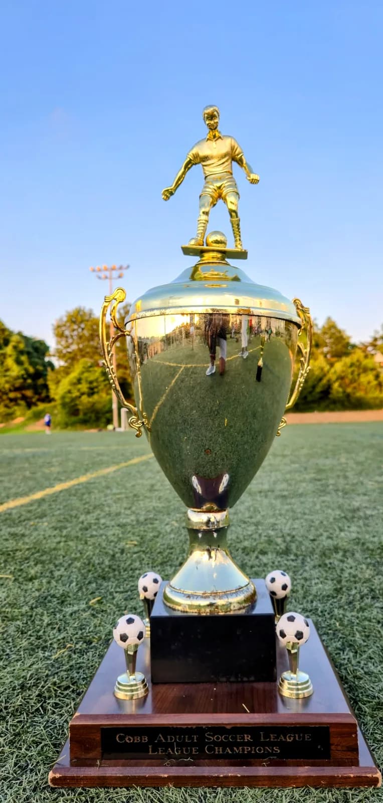 The championship trophy standing on the pitch in evening light